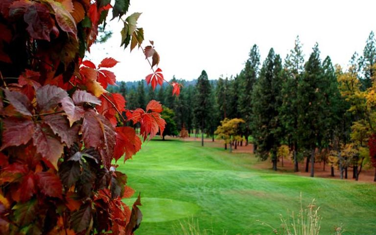 Autumn view at Downriver