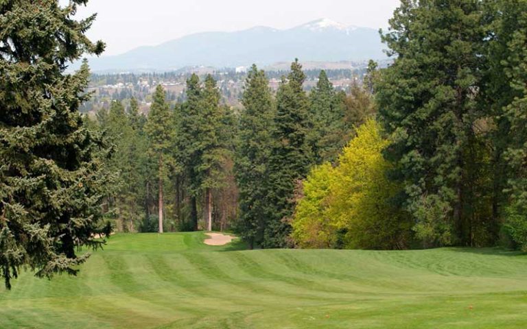 Indian Canyon fairway and distant mountains