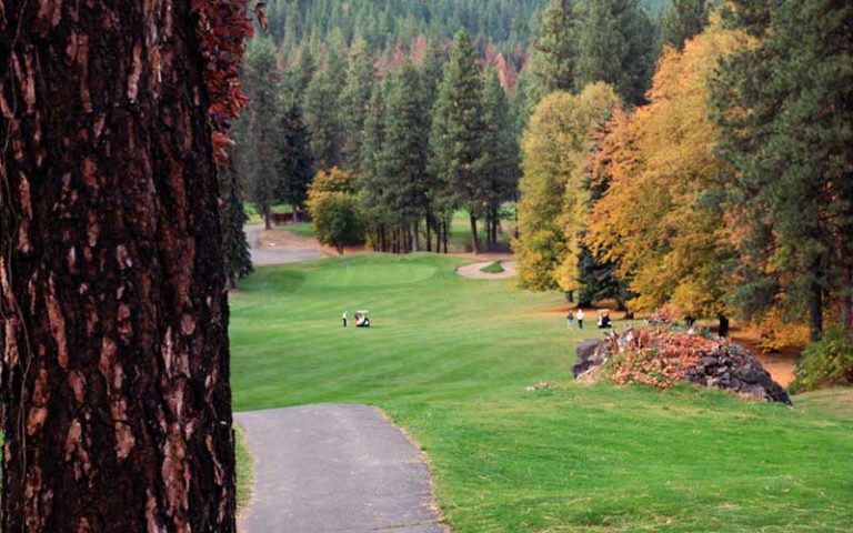 Autumn course view at Indian Canyon