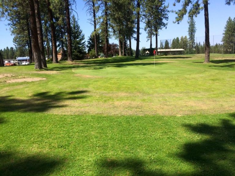 Pine Acres Course green — 2017