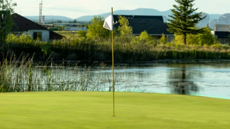 Green beside water at The Plains